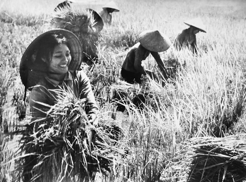 Lịch sử ra đời và ý nghĩa của ngày Phụ nữ Việt Nam 20-10